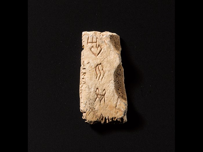 •	Oracle bone of tortoise plastron or ox scapula, with incised script recording divination: China, Henan Province, near Anyang, Yinxu, late Shang dynasty, c. 1200-1050 BC.