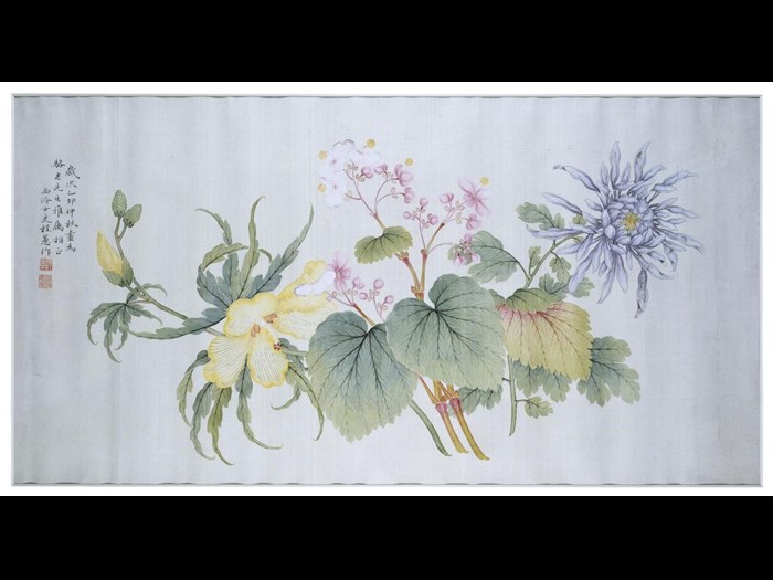 Handscroll painting of chrysanthemums, in ink and white paint on paper: China, by Kang Tongwei. Collected by Sir James Stewart Lockhart. With permission of George Watson's College.