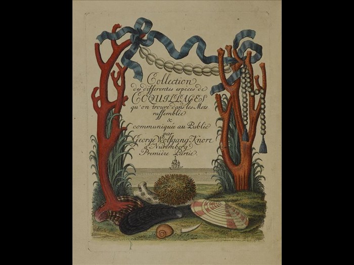Decorative half-title page from Les delices des yeux et de l' esprit, 1764.