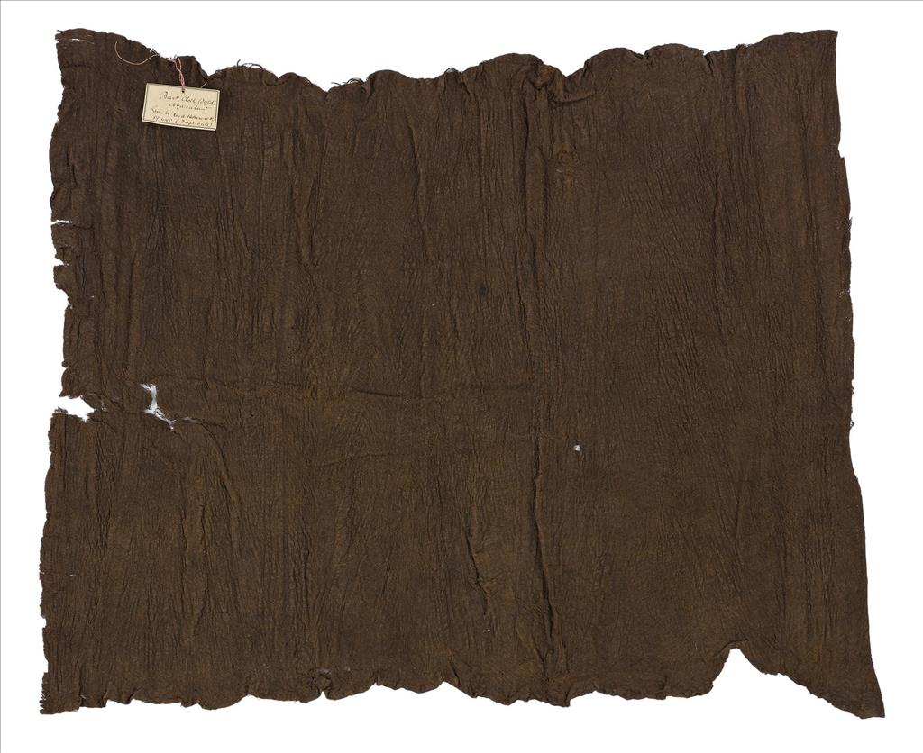 Length of barkcloth, dark colour obtained by steeping in mud: Africa, Southern Africa, Malawi, mid-19th century.