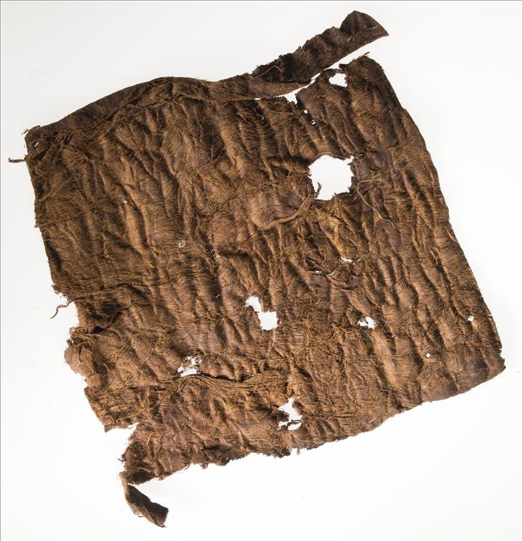 Strip of bark from which barkcloth is made: Central Africa, Zambia, Awemba Country, late 19th century.