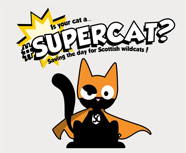 Cartoon-style graphic with a black cat wearing a superhero cape and the words 'Is your cat a supercat? Saving the day for Scottish wildcats!'
