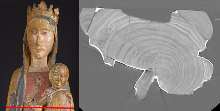 Cross sectional images of the CT scan allowed us to look at the ring pattern of the tree as well as construction techniques. The red line indicates the position of this cross section.