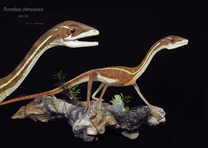 Life restoration of Pectodens zhenyuensis by Yu Wang.