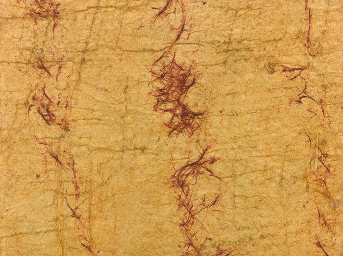 Detail of a barkcloth made from paper mulberry dyed yellow and with decorative dark red fibres beaten in into the light fabric