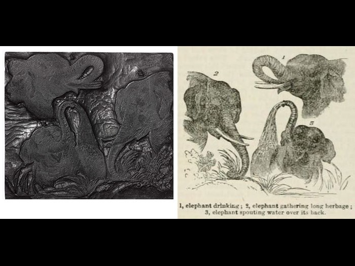 Above: Elephants from First Edition, volume 4, page 2, 1862. An example of the vertebrates category.
