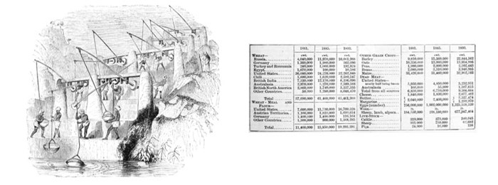 The illustration for Parasites in the first edition (left) was replaced by a table in the second edition.