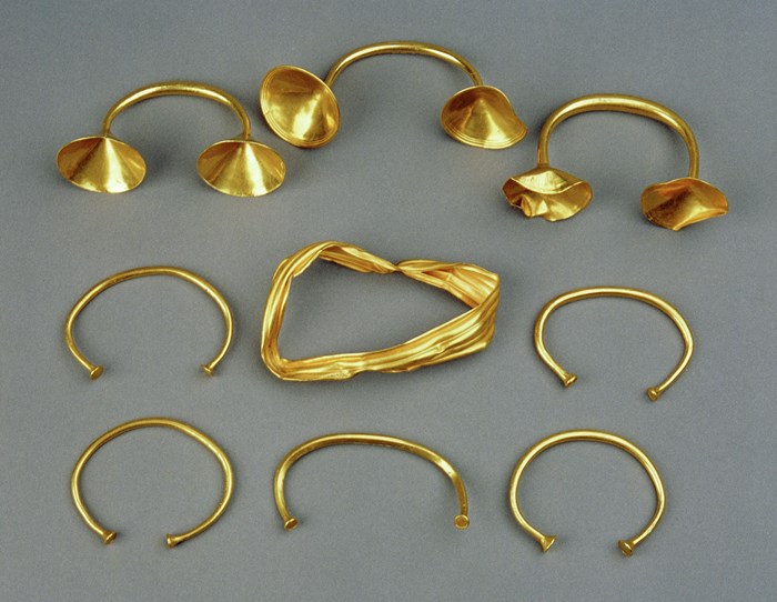 Hoard found at Heights of Brae in Ross and Cromarty
