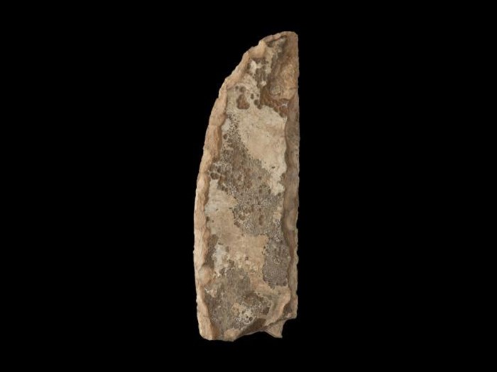 Giant ceremonial flint knife: Ancient Egyptian, Upper Egypt, Hierakonpolis, Predynastic Period, Naqada II (Gerzean), c. 3500-3100 BC.
