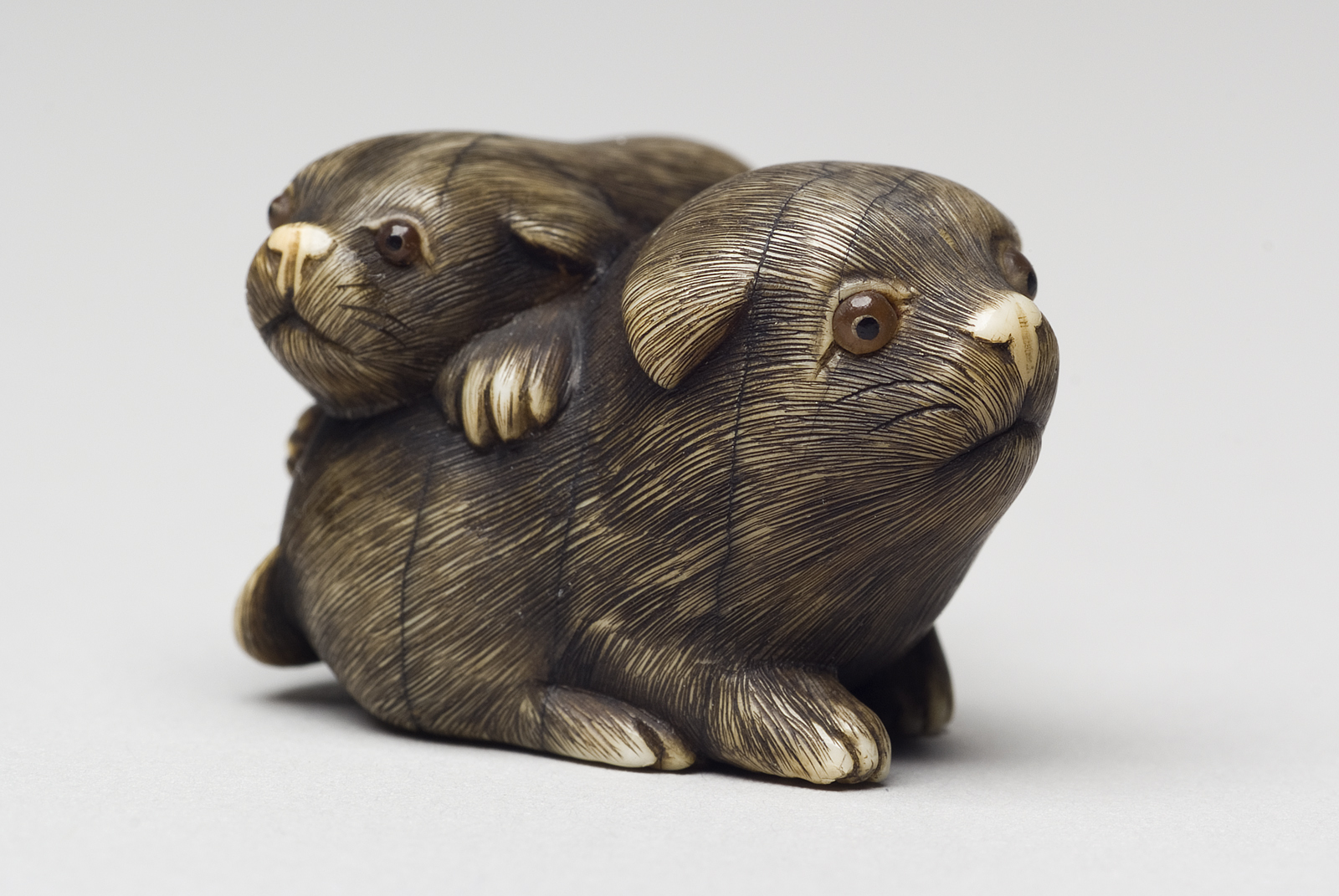 Japanese dog netsuke. Edo Period, possibly late 18th century. Bequeathed in 1928 by Miss Ann Reid. © Aberdeen City Council (Art Gallery and Museums Collections)