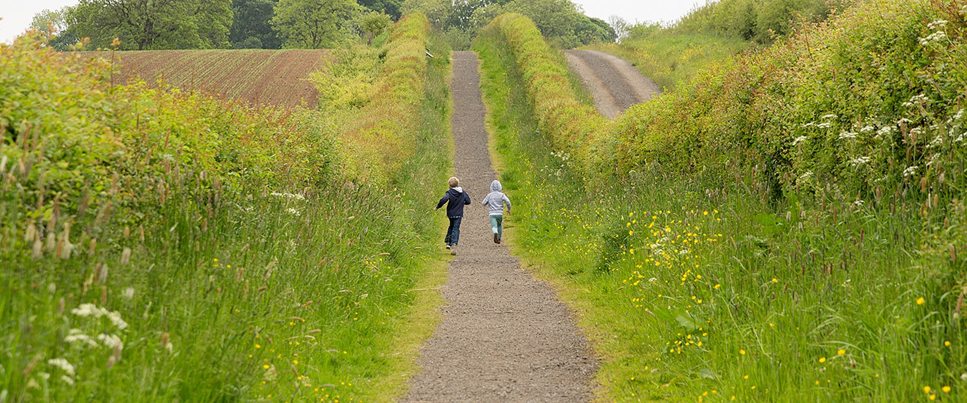 Two children run down a hedge-lined path