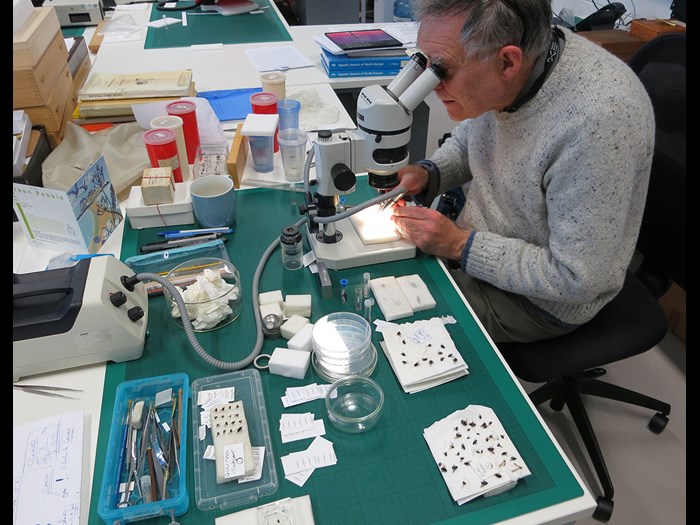 David is a Collections Volunteer with our Natural Sciences department