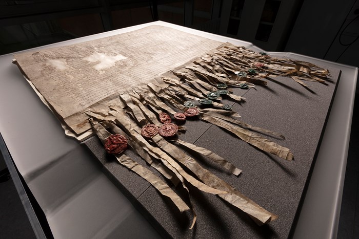 Frayed document with many tassels affixed with green and red wax seals on a grey surface.