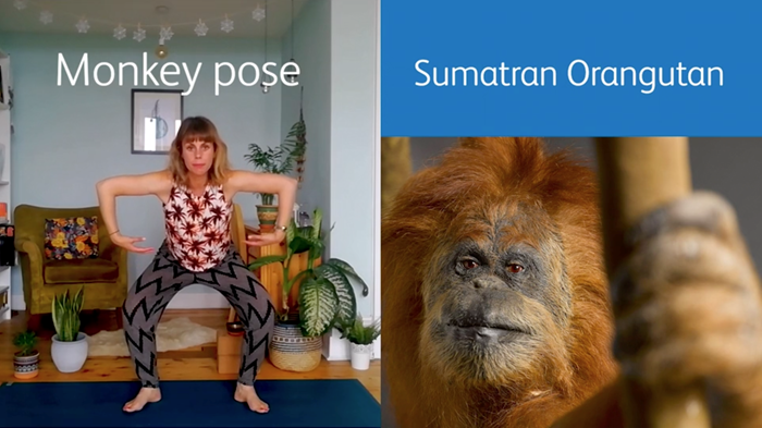 Monkey pose inspired by the Sumatran Orangutan