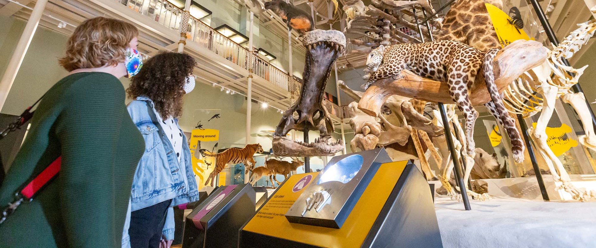 Top 10 things to see and do | National Museum of Scotland