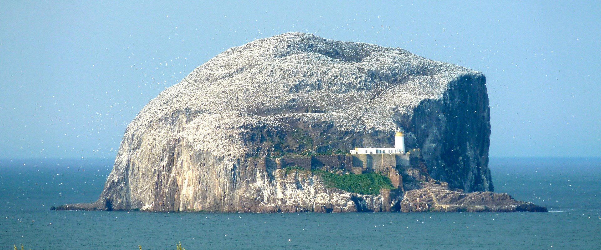 A massive dome of rock rises out of a calm sea. A white lighthouse is on the rock, as are thousands of nesting birds.