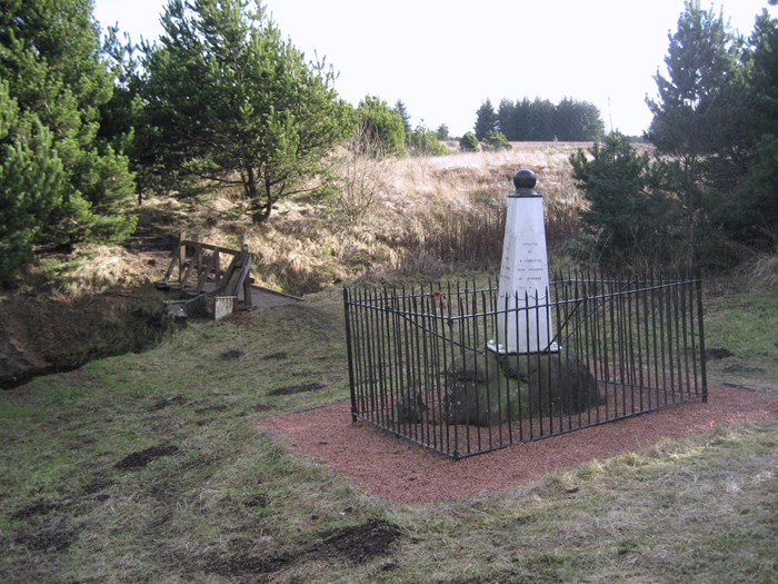 A fenced off white pillar topped by a black circle in an area of light woods and long grass.