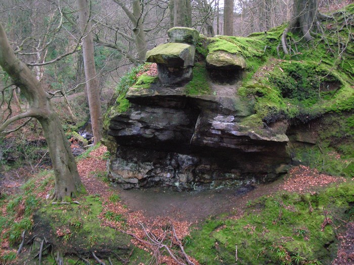 A rocky outcrop covered in moss in an old-looking forest, resembling a church pulpit.
