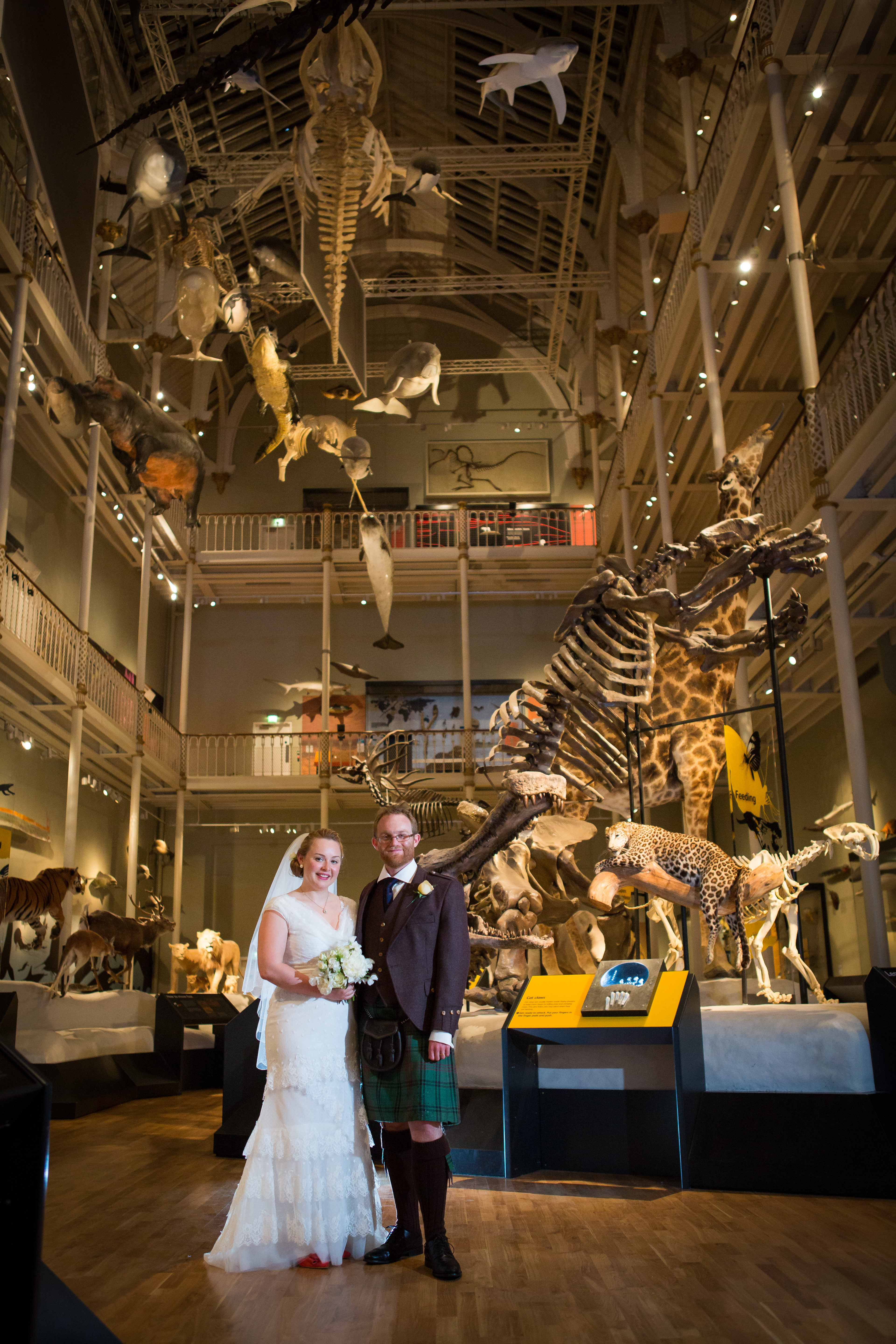Newlyweds in the Animal World gallery © First Light Photography