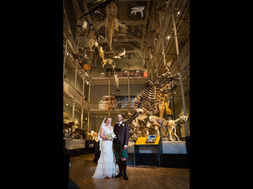 Newlyweds in the Animal World gallery 