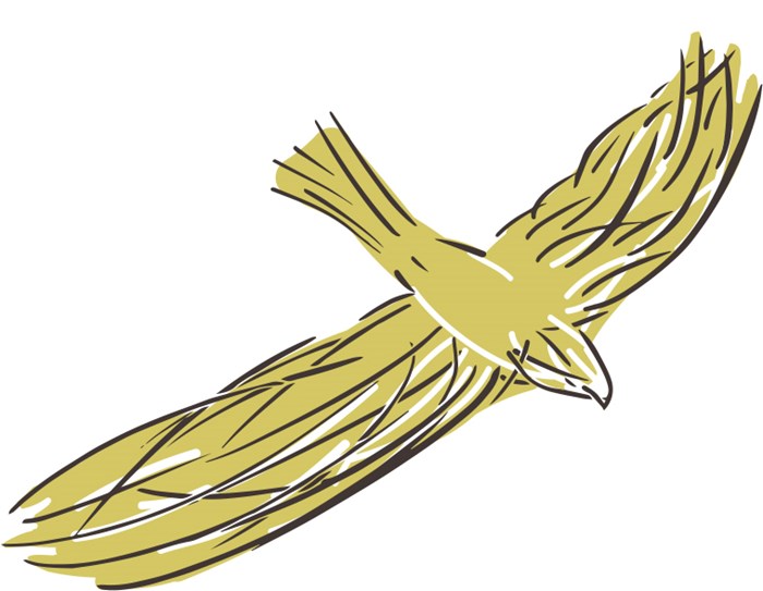 Illustration of a yellow bird.