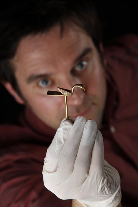 A man in a red shirt wearing a white glove for conservation holds up a golden bird pin and stares at it inquisitively