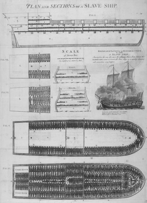 Black and white plan of sections of a ship transporting enslaved people.
