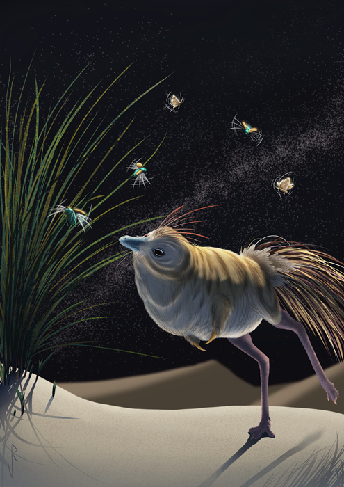 Illustration of a small dinosaur with reduced forelimbs, feathers and large eyes exploring in the dark.