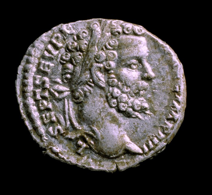 Off-grey coin depicting a heavily hearded, curly-haired Septimius Severus