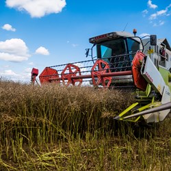 Colour photo of a combine harvester being used in the field.