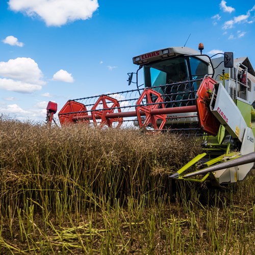 Colour photo of a combine harvester being used in the field.