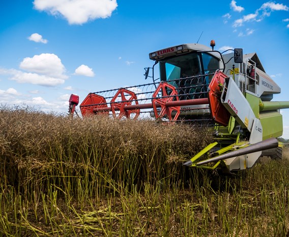 Colour photo of a combine harvester being used in the field
