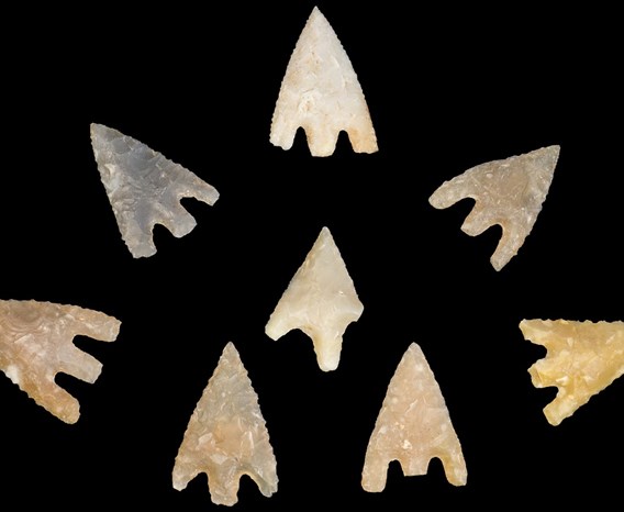 Eight yellowish-grey arrow heads arranged in a crescent pattern against a black background with their points facing outward.