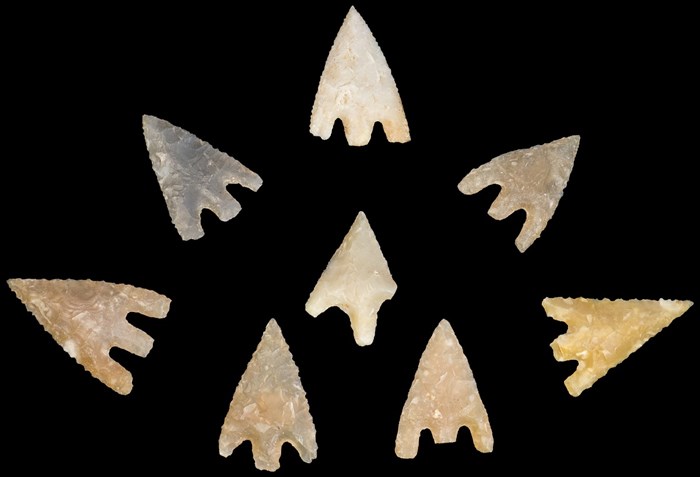 8 arrow heads, arranged in a crescent formation with points facing outward.