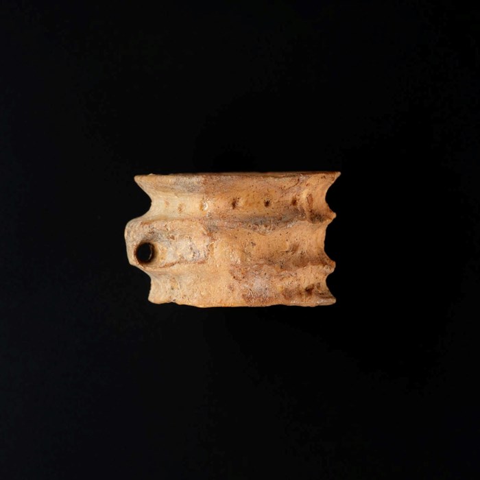 Outer surface of a bone ring, dusty orange. Four distinct ridges cross it horizontally, with tiny pock marks on the top stripe and a larger hole on the far left.