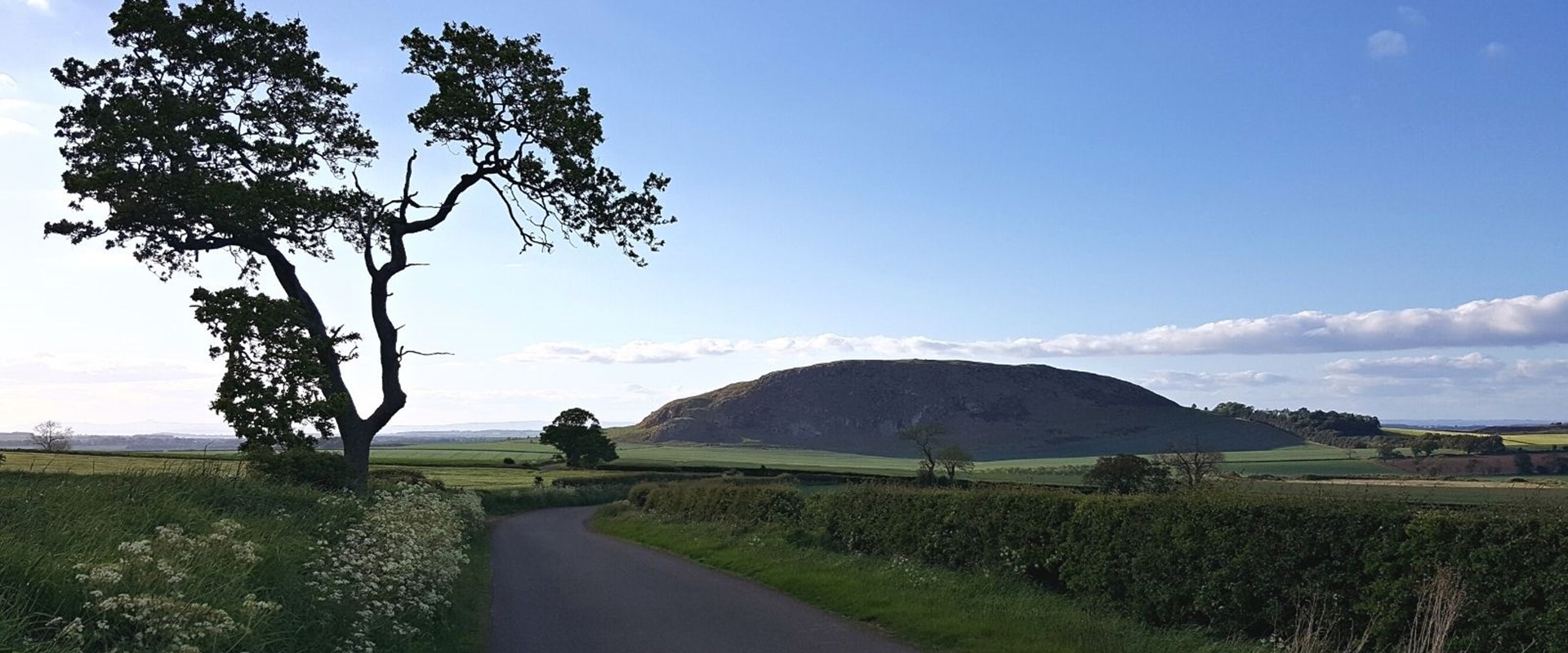 A large whaleback-shaped hill called Traprain law rises us from lush green and yellow fields under a blue sky.