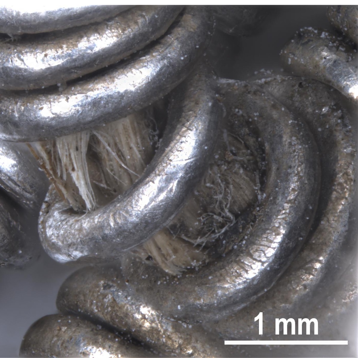 Microscopic closeup of silver links coming apart, revealing a light yellow hair-like material underneath,