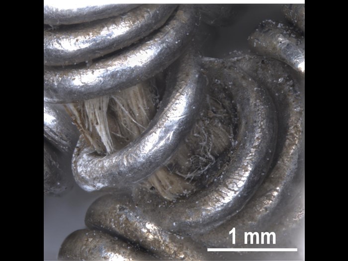 In places where the silver coils had stretched apart, an inner string of organic material was revealed.