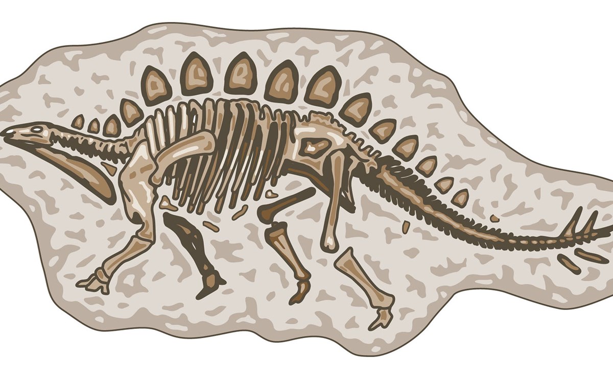 Fossilised Dinosaur