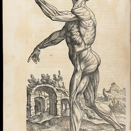 Andreas Vesalius, De humani corporis fabrica libri septem. Wellcome Collection.