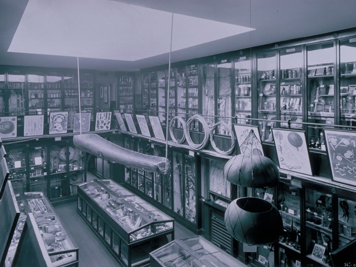 Monochrome grey-blue image of a long, narrow room packed with glass cases, books, diagrams and objects hanging from the ceiling.
