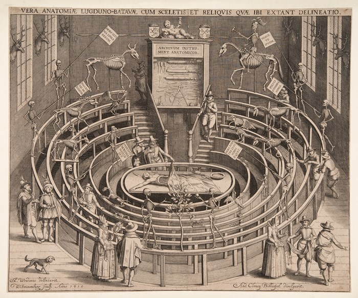 Illustration of a circular anatomy theatre with benches surrounding a central stage with a body on the table.