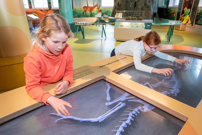 Two children touch an interactive table screen showing dinosaur bones.