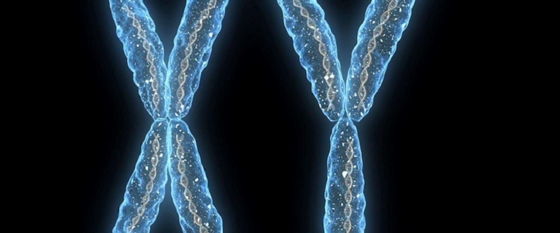 Human Ancient DNA 1