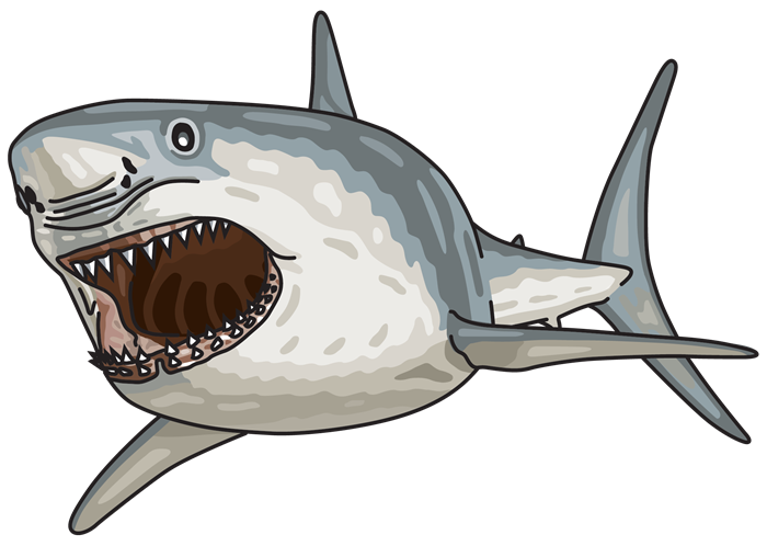 Illustration of a great white shark with mouth open