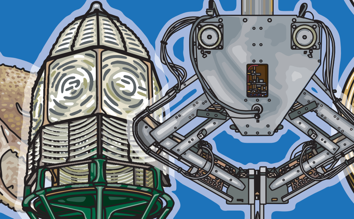 Doctor Wo Trail Header
