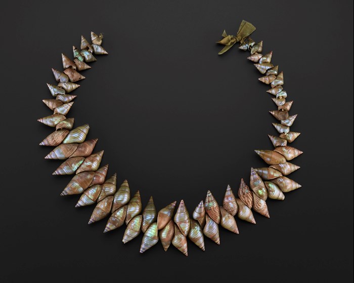 Necklace made from two layers of conical seashells, the points of each layer facing away from the other layer. Each shell shimmers with brown, blue, green, and grey.