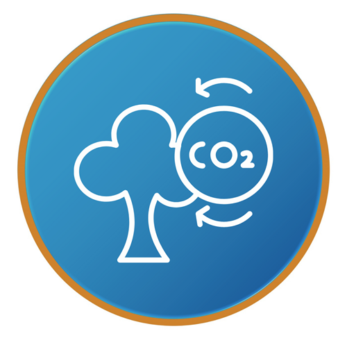 Circular blue icon with a golden rim, with a white outline of a tree next to circle reading 'CO2'.