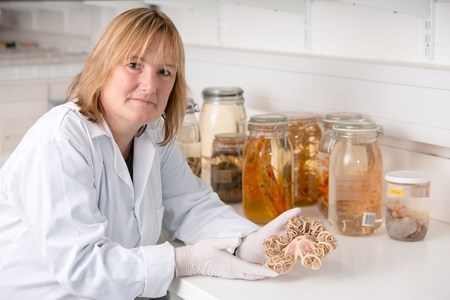 Fiona Ware with a basket star, collected from 1,000m deep off the west coast of Scotland.