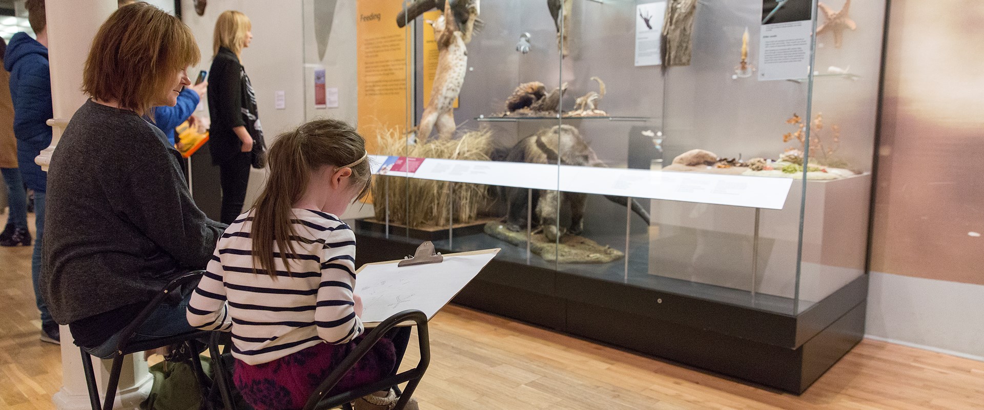 An adult and a child sit on stools sketching infront of a case of taxidermy.